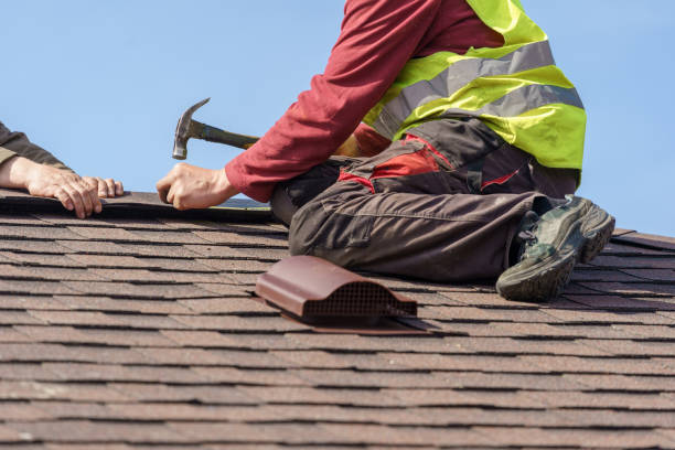 Best Roof Repair Specialists  in Bridgeport, MI