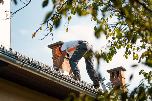 Best Local Roofing Companies  in Bridgeport, MI