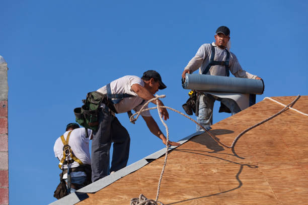 Best Roof Restoration Services  in Bridgeport, MI